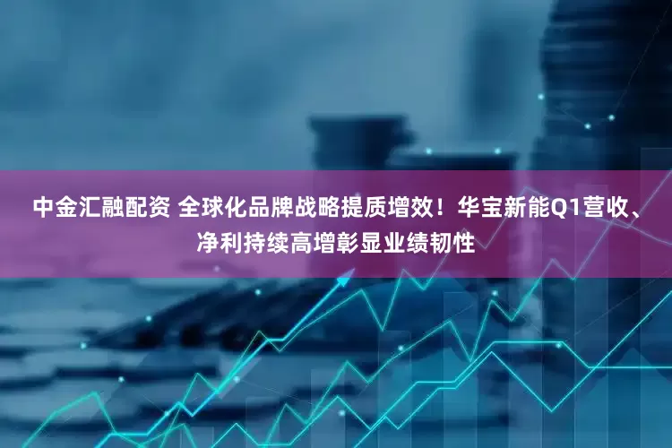 中金汇融配资 全球化品牌战略提质增效！华宝新能Q1营收、净利持续高增彰显业绩韧性