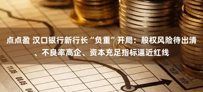 点点盈 汉口银行新行长“负重”开局：股权风险待出清、不良率高企、资本充足指标逼近红线